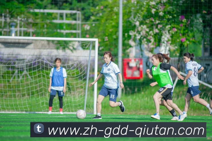 App Interface Preview